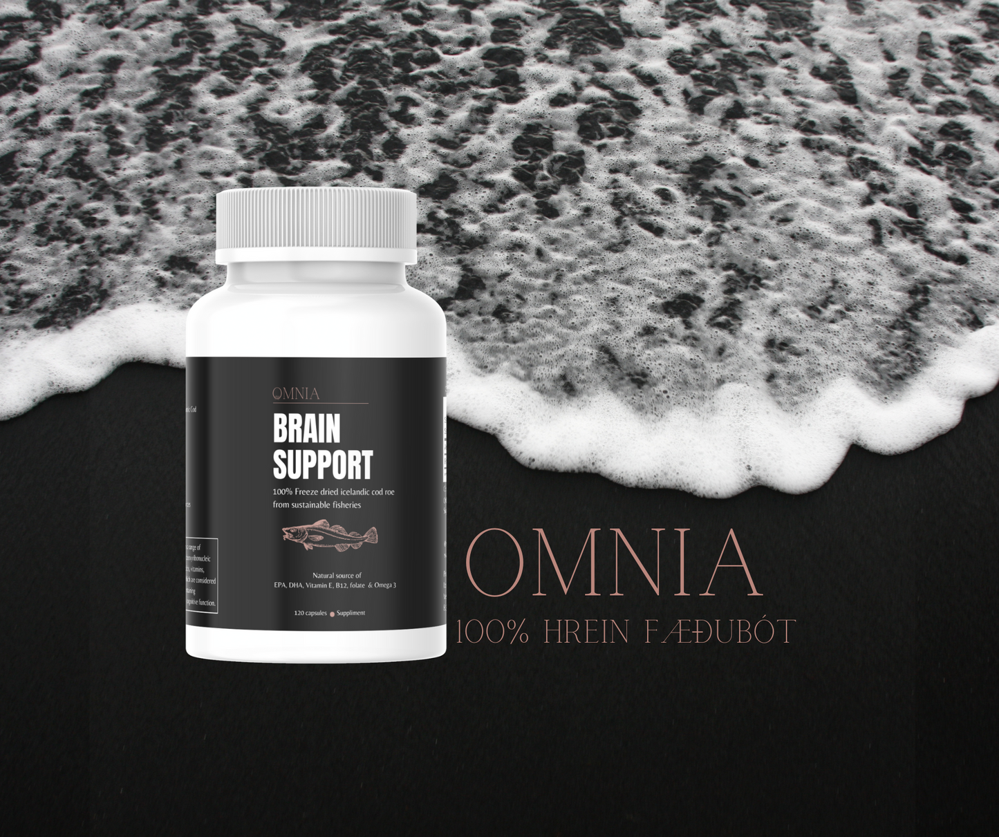 Omnia - BRAIN SUPPORT